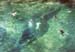 12bluespring1