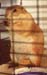 16prairiedog