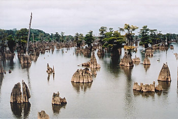 13deadlakes2