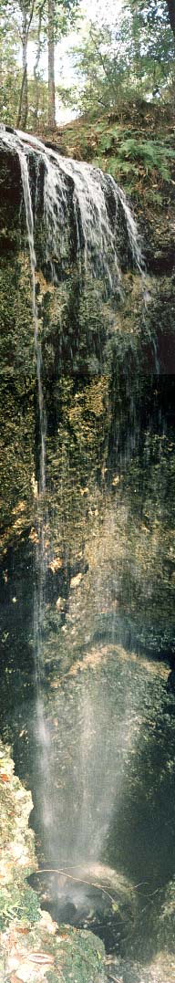 08wholefall