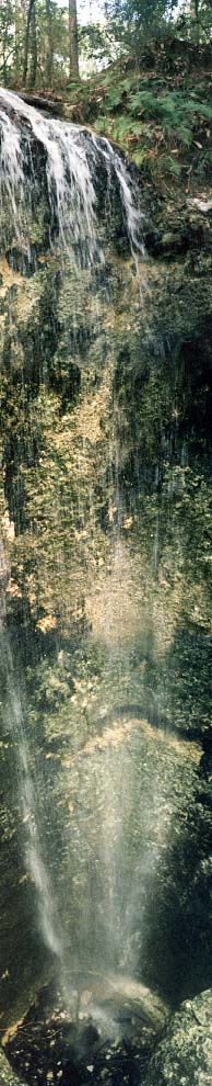 09wholefall2