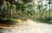 10fallpark